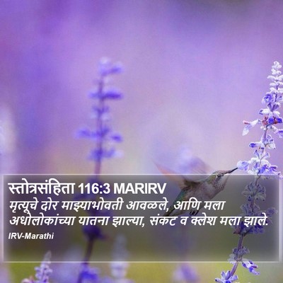 स्तोत्रसंहिता 116:3 MARIRV Bible Verse Image