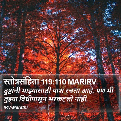 स्तोत्रसंहिता 119:110 MARIRV Bible Verse Image