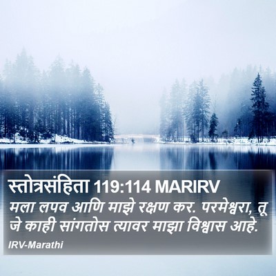 स्तोत्रसंहिता 119:114 MARIRV Bible Verse Image