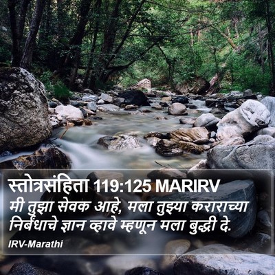 स्तोत्रसंहिता 119:125 MARIRV Bible Verse Image