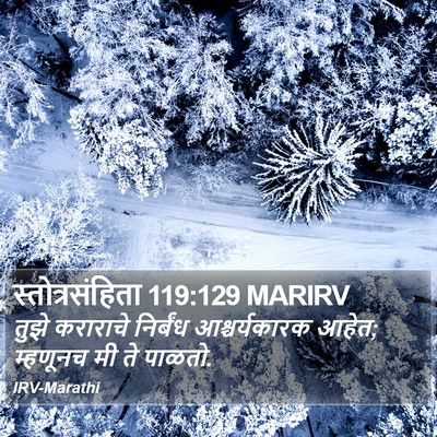 स्तोत्रसंहिता 119:129 MARIRV Bible Verse Image