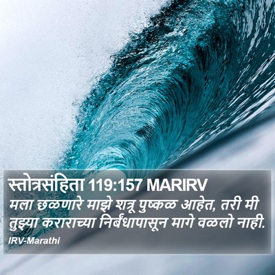 स्तोत्रसंहिता 119:157 MARIRV Bible Verse Image