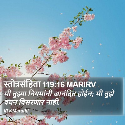 स्तोत्रसंहिता 119:16 MARIRV Bible Verse Image