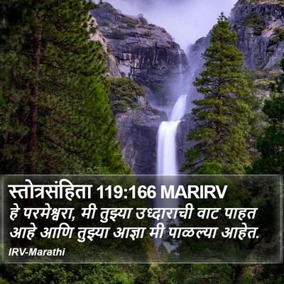 स्तोत्रसंहिता 119:166 MARIRV Bible Verse Image