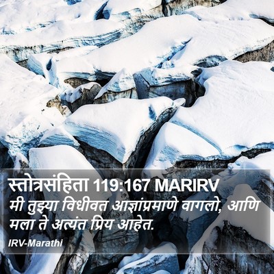स्तोत्रसंहिता 119:167 MARIRV Bible Verse Image