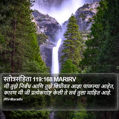 स्तोत्रसंहिता 119:168 MARIRV Bible Verse Image