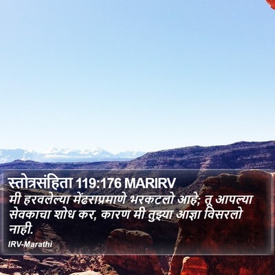 स्तोत्रसंहिता 119:176 MARIRV Bible Verse Image