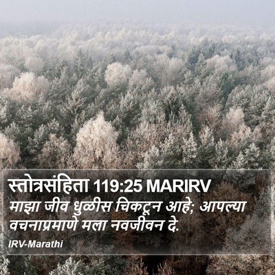 स्तोत्रसंहिता 119:25 MARIRV Bible Verse Image