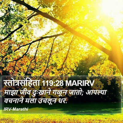स्तोत्रसंहिता 119:28 MARIRV Bible Verse Image