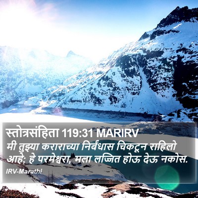 स्तोत्रसंहिता 119:31 MARIRV Bible Verse Image