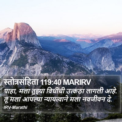 स्तोत्रसंहिता 119:40 MARIRV Bible Verse Image