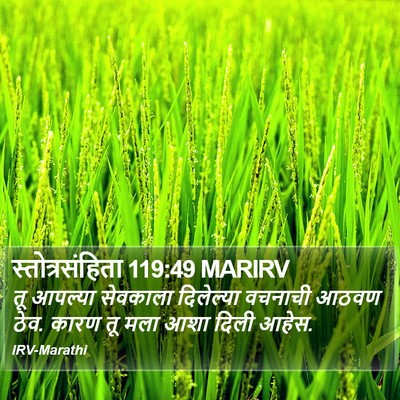 स्तोत्रसंहिता 119:49 MARIRV Bible Verse Image