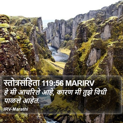 स्तोत्रसंहिता 119:56 MARIRV Bible Verse Image