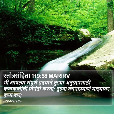 स्तोत्रसंहिता 119:58 MARIRV Bible Verse Image