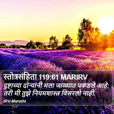 स्तोत्रसंहिता 119:61 MARIRV Bible Verse Image