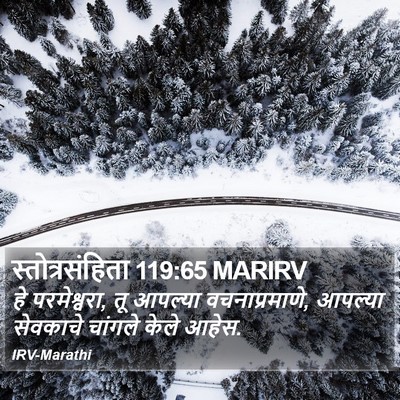 स्तोत्रसंहिता 119:65 MARIRV Bible Verse Image