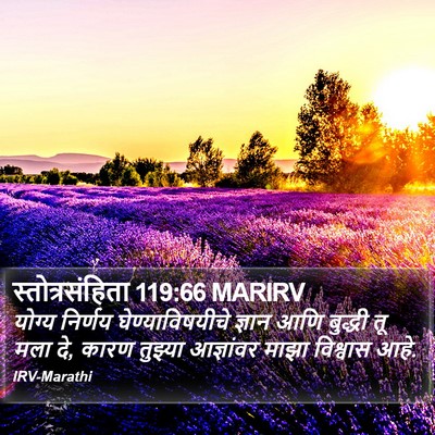 स्तोत्रसंहिता 119:66 MARIRV Bible Verse Image