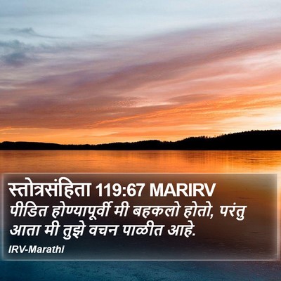 स्तोत्रसंहिता 119:67 MARIRV Bible Verse Image