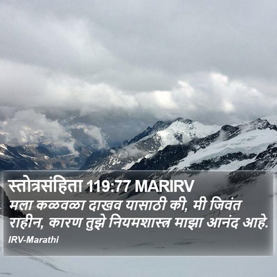 स्तोत्रसंहिता 119:77 MARIRV Bible Verse Image
