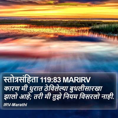 स्तोत्रसंहिता 119:83 MARIRV Bible Verse Image