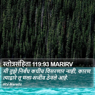 स्तोत्रसंहिता 119:93 MARIRV Bible Verse Image