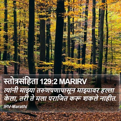 स्तोत्रसंहिता 129:2 MARIRV Bible Verse Image