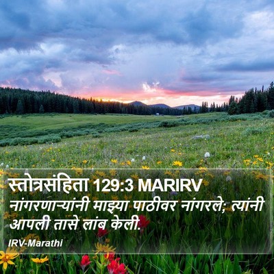 स्तोत्रसंहिता 129:3 MARIRV Bible Verse Image