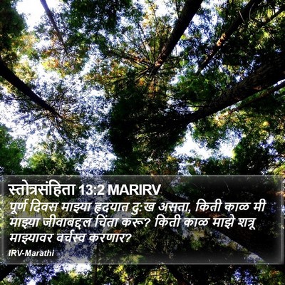 स्तोत्रसंहिता 13:2 MARIRV Bible Verse Image