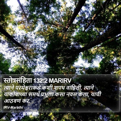 स्तोत्रसंहिता 132:2 MARIRV Bible Verse Image