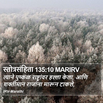 स्तोत्रसंहिता 135:10 MARIRV Bible Verse Image