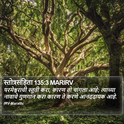 स्तोत्रसंहिता 135:3 MARIRV Bible Verse Image