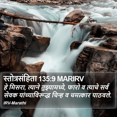 स्तोत्रसंहिता 135:9 MARIRV Bible Verse Image