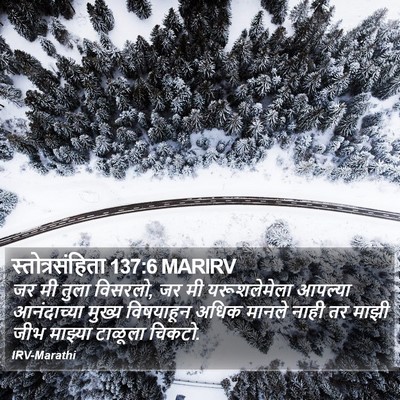 स्तोत्रसंहिता 137:6 MARIRV Bible Verse Image
