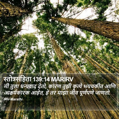 स्तोत्रसंहिता 139:14 MARIRV Bible Verse Image