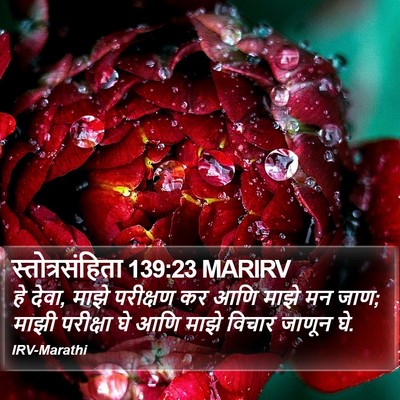 स्तोत्रसंहिता 139:23 MARIRV Bible Verse Image