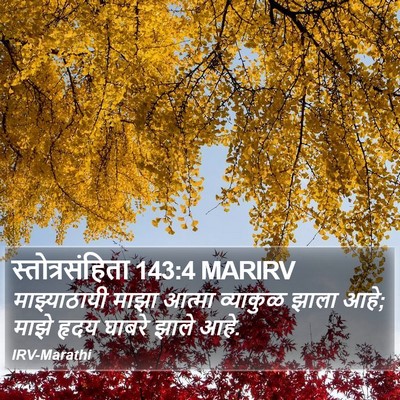 स्तोत्रसंहिता 143:4 MARIRV Bible Verse Image