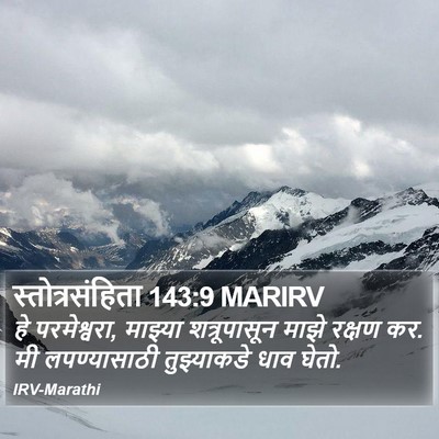 स्तोत्रसंहिता 143:9 MARIRV Bible Verse Image