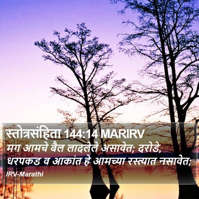 स्तोत्रसंहिता 144:14 MARIRV Bible Verse Image