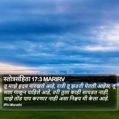 स्तोत्रसंहिता 17:3 MARIRV Bible Verse Image