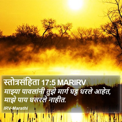 स्तोत्रसंहिता 17:5 MARIRV Bible Verse Image