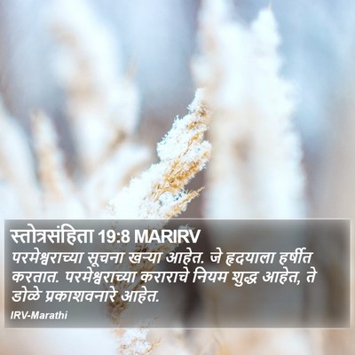 स्तोत्रसंहिता 19:8 MARIRV Bible Verse Image