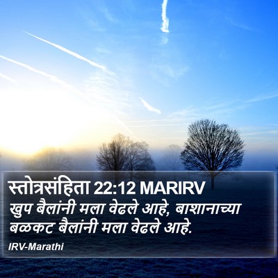 स्तोत्रसंहिता 22:12 MARIRV Bible Verse Image