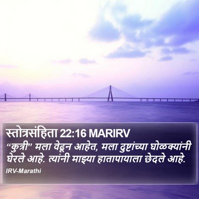 स्तोत्रसंहिता 22:16 MARIRV Bible Verse Image