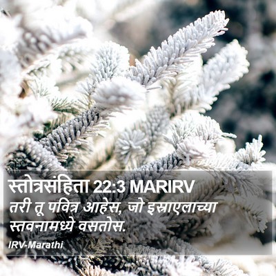 स्तोत्रसंहिता 22:3 MARIRV Bible Verse Image