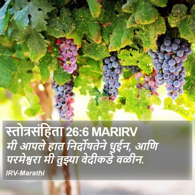 स्तोत्रसंहिता 26:6 MARIRV Bible Verse Image