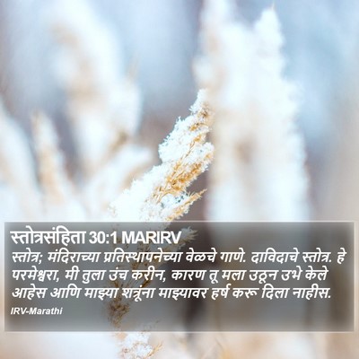 स्तोत्रसंहिता 30:1 MARIRV Bible Verse Image