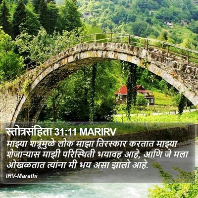 स्तोत्रसंहिता 31:11 MARIRV Bible Verse Image