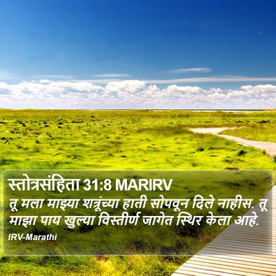 स्तोत्रसंहिता 31:8 MARIRV Bible Verse Image