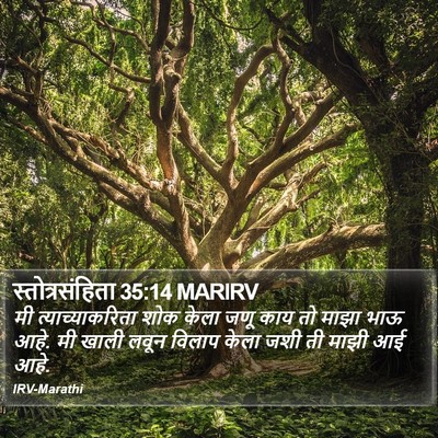 स्तोत्रसंहिता 35:14 MARIRV Bible Verse Image