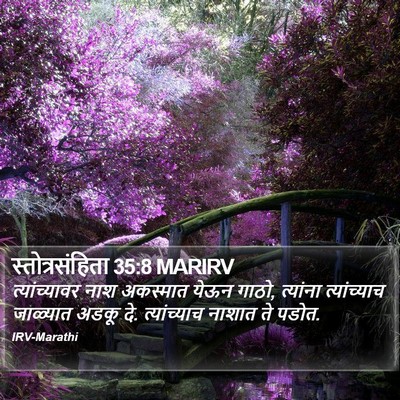 स्तोत्रसंहिता 35:8 MARIRV Bible Verse Image